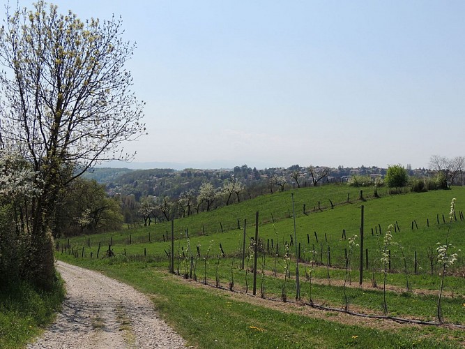 serrurier La Colline à Brignais